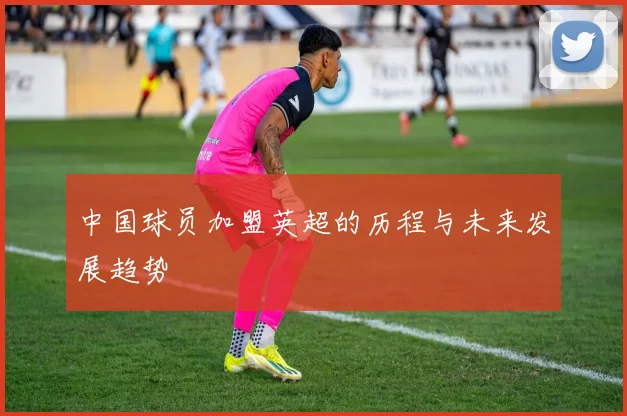 中国球员加盟英超的历程与未来发展趋势