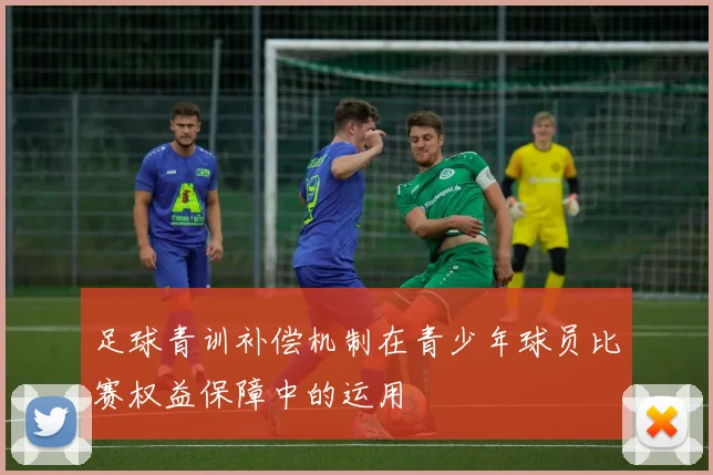足球青训补偿机制在青少年球员比赛权益保障中的运用